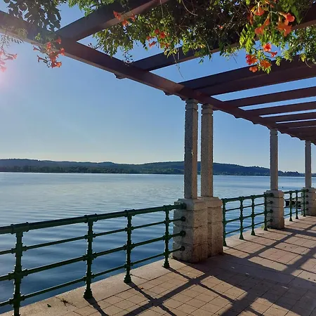 - Maggiore Entire - Parking * アローナ